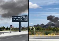 Bakırköy'de hastane bahçesinde çıkan yangın söndürüldü