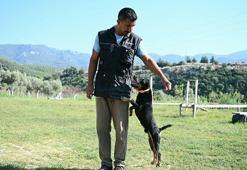 11 yılda yetiştirdiği 4 arama köpeğiyle, sayısız hayat kurtardı