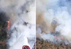 Balıkesir'de kamyondaki yangın ormana sıçradı