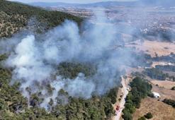 Bolu'da orman yangını; kontrol altına alındı