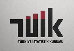 TÜİK: Tarımsal girdi fiyatları haziranda azaldı