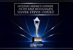 CK Enerji’nin ‘Müşteri İletişimi ve Kriz Orkestrasyonu’ projesine uluslararası ödül
