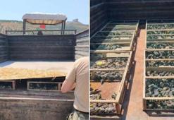 Traktörün römorkunda 2 bin 114 saka ele geçirildi; sürücüye 19,8 milyon TL ceza kesildi