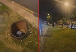 Kağıthane'de rögar kapağından gelen ses tedirgin etti