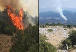 Muğla'da orman yangını