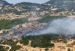 Antalya'da orman yangını kontrol altında
