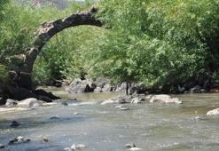 2 bin yıllık Taşköprü turizme kazandırılmayı bekliyor