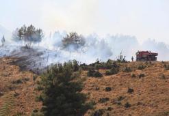 Manisa'da orman yangını
