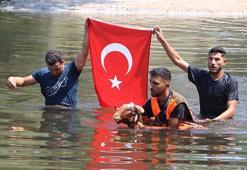 Denizli'de 8 asırlık gelenek; koyunlarını nehirden geçirdiler