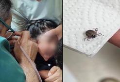 Çocuğun kulağından canlı kene çıkarıldı