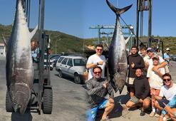 Oltayla 260 kilogram ağırlığında orkinos yakaladı