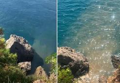 Falezlerden denize atık su akmasına soruşturma