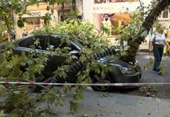 Şişli’de çınar ağacı 2 aracın üzerine devrildi