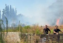 Aydın'da ot yangınında alevler zeytinliğe sıçradı