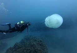Antalya'nın su altı dünyası, dalış tutkunlarının gözdesi