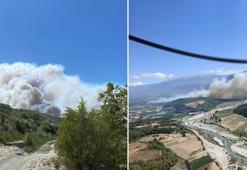 Seydikemer'de tarım arazisinde çıkan yangın, Kaş'ta ormana sıçradı