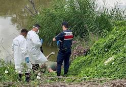 Kayıp olarak aranıyordu, Sakarya Nehri'nde cansız bedeni bulundu