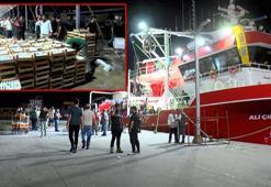 Gürpınar Balık Hali'nde balıkçılar avdan döndü: Bu sene palamut bol