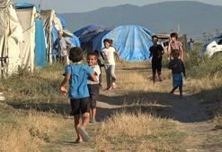 Mevsimlik işçiler tarlada, çocukları oyunda