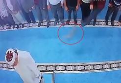 Camide kediye tekme atan kişi gözaltına alındı