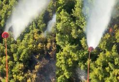 Antalya'da çıkan orman yangını kontrol altında