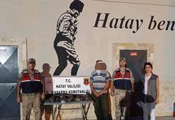 Göç yolundaki 7 arı şahinini vuran avcıya 1 milyon 356 bin TL’lik ceza