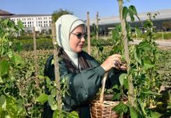 Emine Erdoğan, Türkiye Milli Botanik Bahçesi'ni ziyaret etti