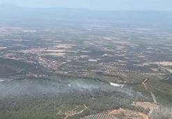 Manisa'da orman yangını