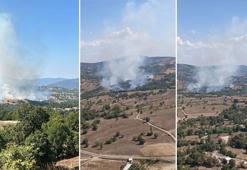 Bursa’da orman yangını