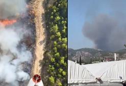 Antalya'da orman dışı alanda yangın