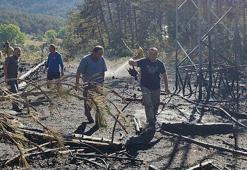 Yüksek gerilim hattında akıma kapılan kuş, orman yangınına neden oldu