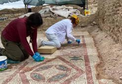 Pompeiopolis Antik Kenti’nde 105 metrekarelik zemin mozaiği açığa çıkarıldı