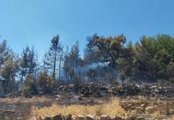 Burdur'da orman yangını