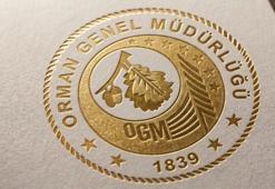 OGM: 4 orman yangını kontrol altına alındı