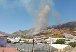 Mersin’de orman yangını