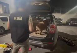 Kocaeli’de uyuşturucu operasyonu: 6 şüpheli tutuklandı