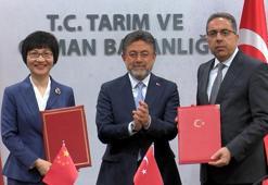 Türkiye ile Çin arasında defne ihracatı protokolü