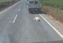 Köpeği kamyonetin arkasına bağlayıp sürükleyerek götürdü