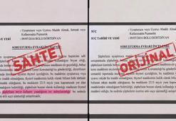 ‘Neyin kafasını yaşadığı anlaşılamadı’ ifadeli savcılık kararı iddiasına soruşturma