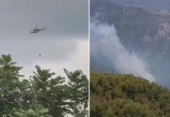Hatay'da orman yangını