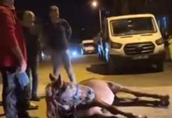 Ata şiddet uygulandığı iddiası; 2 şüpheli gözaltında