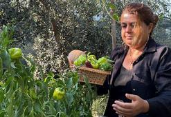Atalık tohumları gelecek nesillere taşıyor