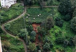 Rize'de heyelanlı bölgede çay hasadı