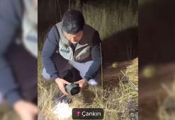 Doğa Koruma'dan kullanımı yasak ses cihazlarına karşı mücadele