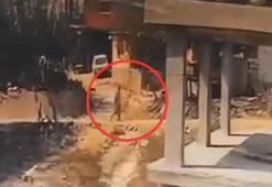 İnşaatta yatan köpeğe sopayla şiddet uyguladı; o anlar kamerada