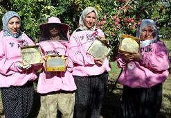 'Pembe maskeli’ kadın arıcılar hasada başladı