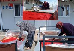 Depremzede kadınların 'salça' ve 'kurutmalık' telaşı