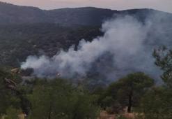 Gaziantep’te orman yangını; 4 dönüm alan zarar gördü