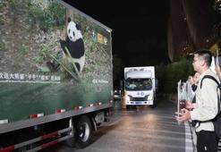 İki dev panda Çin’den ABD’ye yola çıktı