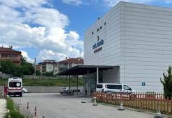 Kastamonu'da orman işçisi, arı sokması sonucu öldü